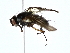  ( - BIOUG76535-D07)  @11 [ ] CreativeCommons - Attribution (2022) CBG Photography Group Centre for Biodiversity Genomics