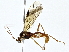  ( - BIOUG76536-E10)  @11 [ ] CreativeCommons - Attribution (2022) CBG Photography Group Centre for Biodiversity Genomics
