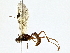  ( - BIOUG76536-F01)  @11 [ ] CreativeCommons - Attribution (2022) CBG Photography Group Centre for Biodiversity Genomics