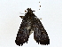  ( - BIOUG76536-F04)  @11 [ ] CreativeCommons - Attribution (2022) CBG Photography Group Centre for Biodiversity Genomics
