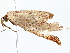  ( - BIOUG80134-D04)  @11 [ ] CreativeCommons - Attribution (2022) CBG Photography Group Centre for Biodiversity Genomics
