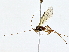  ( - BIOUG80134-F04)  @11 [ ] CreativeCommons - Attribution (2022) CBG Photography Group Centre for Biodiversity Genomics