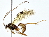  ( - BIOUG80135-B05)  @11 [ ] CreativeCommons - Attribution (2022) CBG Photography Group Centre for Biodiversity Genomics