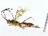  ( - BIOUG80135-B09)  @11 [ ] CreativeCommons - Attribution (2022) CBG Photography Group Centre for Biodiversity Genomics