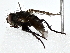  ( - BIOUG80135-D04)  @11 [ ] CreativeCommons - Attribution (2022) CBG Photography Group Centre for Biodiversity Genomics