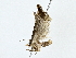 ( - BIOUG80136-D12)  @11 [ ] CreativeCommons - Attribution (2022) CBG Photography Group Centre for Biodiversity Genomics