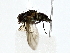  ( - BIOUG80705-F03)  @11 [ ] CreativeCommons - Attribution (2022) CBG Photography Group Centre for Biodiversity Genomics
