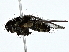  ( - BIOUG80706-D04)  @11 [ ] CreativeCommons - Attribution (2022) CBG Photography Group Centre for Biodiversity Genomics