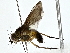  ( - BIOUG80706-E03)  @11 [ ] CreativeCommons - Attribution (2022) CBG Photography Group Centre for Biodiversity Genomics