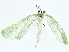 ( - BIOUG80706-F05)  @11 [ ] CreativeCommons - Attribution (2022) CBG Photography Group Centre for Biodiversity Genomics