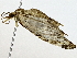  ( - BIOUG80706-G02)  @11 [ ] CreativeCommons - Attribution (2022) CBG Photography Group Centre for Biodiversity Genomics