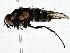  ( - BIOUG80706-H04)  @11 [ ] CreativeCommons - Attribution (2022) CBG Photography Group Centre for Biodiversity Genomics