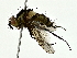  ( - BIOUG80708-A01)  @11 [ ] CreativeCommons - Attribution (2022) CBG Photography Group Centre for Biodiversity Genomics
