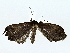  ( - BIOUG80708-E08)  @11 [ ] CreativeCommons - Attribution (2022) CBG Photography Group Centre for Biodiversity Genomics