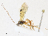  ( - CBG-A16691-G01)  @11 [ ] CreativeCommons - Attribution Share - Alike (2023) CBG Photography Group Centre for Biodiversity Genomics