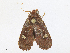  ( - CBG-A16691-H03)  @11 [ ] CreativeCommons - Attribution Share - Alike (2023) CBG Photography Group Centre for Biodiversity Genomics