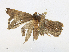  ( - CBG-A16691-H06)  @11 [ ] CreativeCommons - Attribution Share - Alike (2023) CBG Photography Group Centre for Biodiversity Genomics