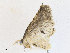  ( - CBG-A16692-A02)  @11 [ ] CreativeCommons - Attribution Share - Alike (2023) CBG Photography Group Centre for Biodiversity Genomics