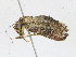  ( - CBG-A16692-A07)  @11 [ ] CreativeCommons - Attribution Share - Alike (2023) CBG Photography Group Centre for Biodiversity Genomics