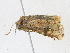  ( - CBG-A16692-A10)  @11 [ ] CreativeCommons - Attribution Share - Alike (2023) CBG Photography Group Centre for Biodiversity Genomics