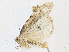  ( - CBG-A16692-B01)  @11 [ ] CreativeCommons - Attribution Share - Alike (2023) CBG Photography Group Centre for Biodiversity Genomics
