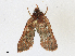  ( - CBG-A16692-D10)  @11 [ ] CreativeCommons - Attribution Share - Alike (2023) CBG Photography Group Centre for Biodiversity Genomics