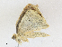  ( - CBG-A16692-E03)  @11 [ ] CreativeCommons - Attribution Share - Alike (2023) CBG Photography Group Centre for Biodiversity Genomics