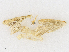  ( - CBG-A16692-F05)  @11 [ ] CreativeCommons - Attribution Share - Alike (2023) CBG Photography Group Centre for Biodiversity Genomics