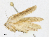  ( - CBG-A16704-A07)  @11 [ ] CreativeCommons - Attribution Share - Alike (2023) CBG Photography Group Centre for Biodiversity Genomics