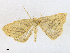  ( - CBG-A16704-C04)  @11 [ ] CreativeCommons - Attribution Share - Alike (2023) CBG Photography Group Centre for Biodiversity Genomics