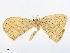  ( - CBG-A16704-H02)  @11 [ ] CreativeCommons - Attribution Share - Alike (2023) CBG Photography Group Centre for Biodiversity Genomics