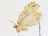  ( - CBG-A16705-A02)  @11 [ ] CreativeCommons - Attribution Share - Alike (2023) CBG Photography Group Centre for Biodiversity Genomics