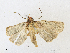  ( - CBG-A16705-D12)  @11 [ ] CreativeCommons - Attribution Share - Alike (2023) CBG Photography Group Centre for Biodiversity Genomics