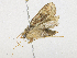  ( - CBG-A16705-G06)  @11 [ ] CreativeCommons - Attribution Share - Alike (2023) CBG Photography Group Centre for Biodiversity Genomics