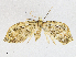  ( - CBG-A21615-F02)  @11 [ ] CreativeCommons - Attribution Share - Alike (2023) CBG Photography Group Centre for Biodiversity Genomics