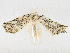  ( - CBG-A21615-F06)  @11 [ ] CreativeCommons - Attribution Share - Alike (2023) CBG Photography Group Centre for Biodiversity Genomics