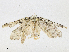  ( - CBG-A21615-F07)  @11 [ ] CreativeCommons - Attribution Share - Alike (2023) CBG Photography Group Centre for Biodiversity Genomics