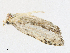  ( - CBG-A21615-G01)  @11 [ ] CreativeCommons - Attribution Share - Alike (2023) CBG Photography Group Centre for Biodiversity Genomics