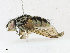  ( - CBG-A21657-A12)  @11 [ ] CreativeCommons - Attribution Share - Alike (2023) CBG Photography Group Centre for Biodiversity Genomics