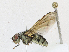  ( - CBG-A21657-B03)  @11 [ ] CreativeCommons - Attribution Share - Alike (2023) CBG Photography Group Centre for Biodiversity Genomics