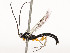  ( - CBG-A51933-B08)  @11 [ ] CreativeCommons - Attribution Share - Alike (2024) CBG Photography Group Centre for Biodiversity Genomics