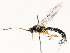  ( - CBG-A51933-C07)  @11 [ ] CreativeCommons - Attribution Share - Alike (2024) CBG Photography Group Centre for Biodiversity Genomics