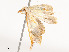  ( - CBG-A51933-E01)  @11 [ ] CreativeCommons - Attribution Share - Alike (2024) CBG Photography Group Centre for Biodiversity Genomics