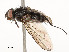  ( - CBG-A51933-E11)  @11 [ ] CreativeCommons - Attribution Share - Alike (2024) CBG Photography Group Centre for Biodiversity Genomics