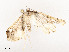  ( - CBG-A51965-A12)  @11 [ ] CreativeCommons - Attribution Share - Alike (2024) CBG Photography Group Centre for Biodiversity Genomics