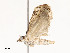  ( - CBG-A51965-B03)  @11 [ ] CreativeCommons - Attribution Share - Alike (2024) CBG Photography Group Centre for Biodiversity Genomics