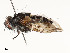  ( - CBG-A53666-B07)  @11 [ ] CreativeCommons - Attribution Share - Alike (2024) CBG Photography Group Centre for Biodiversity Genomics
