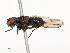  ( - CBG-A53666-C02)  @11 [ ] CreativeCommons - Attribution Share - Alike (2024) CBG Photography Group Centre for Biodiversity Genomics