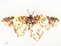  ( - CBG-A53666-D02)  @11 [ ] CreativeCommons - Attribution Share - Alike (2024) CBG Photography Group Centre for Biodiversity Genomics