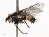  ( - CBG-A53666-E01)  @11 [ ] CreativeCommons - Attribution Share - Alike (2024) CBG Photography Group Centre for Biodiversity Genomics